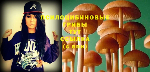гашишное масло Алексеевка
